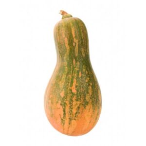 Calabaza-carruecano