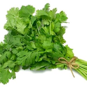 cilantro