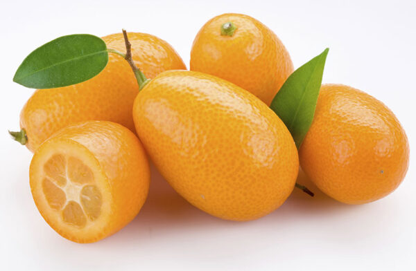 kumquat