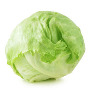 lechuga-iceberg