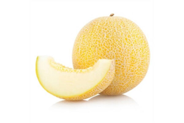 melon-galia